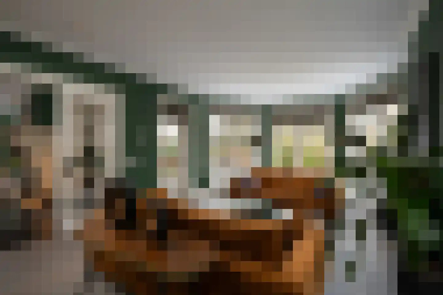 Gravin Jacobalaan 23 Den Haag thumbnail 13