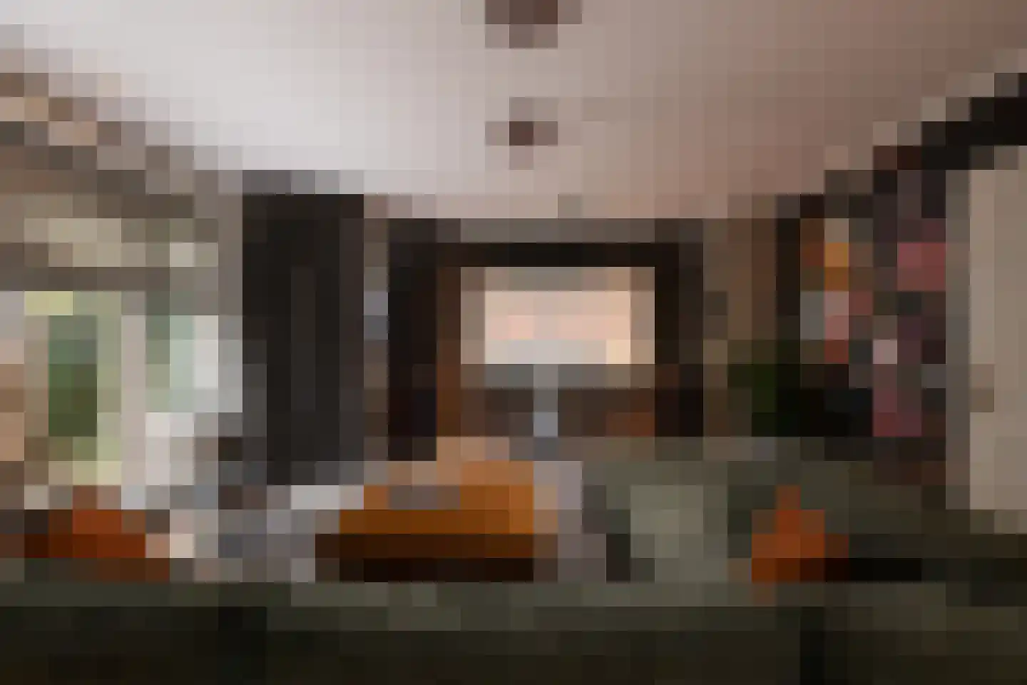 Gravin Jacobalaan 23 Den Haag thumbnail 14