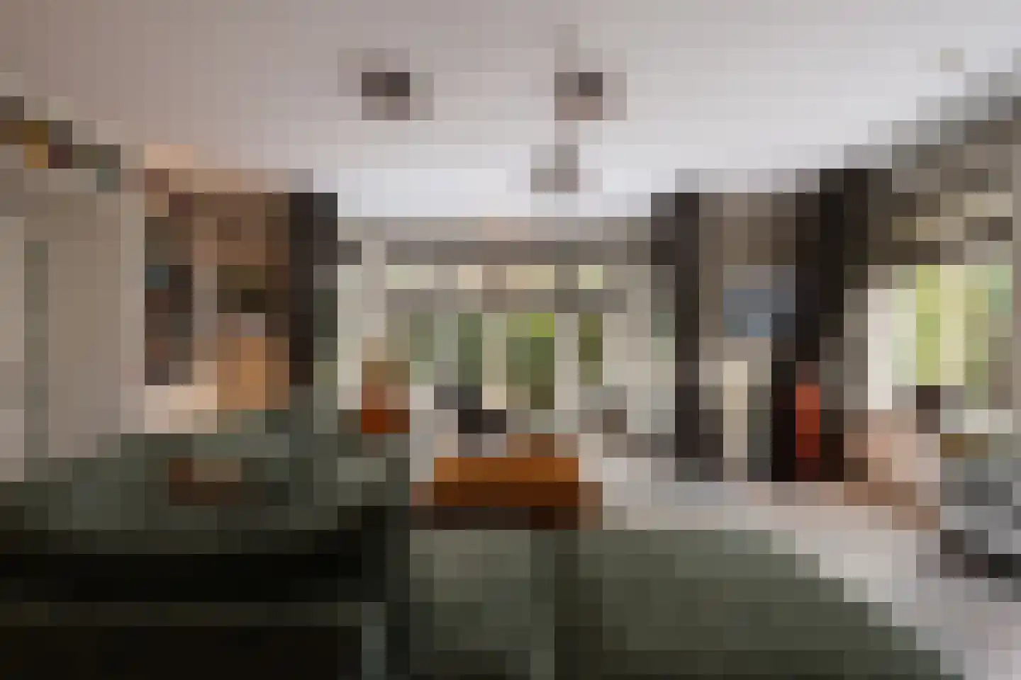 Gravin Jacobalaan 23 Den Haag thumbnail 16