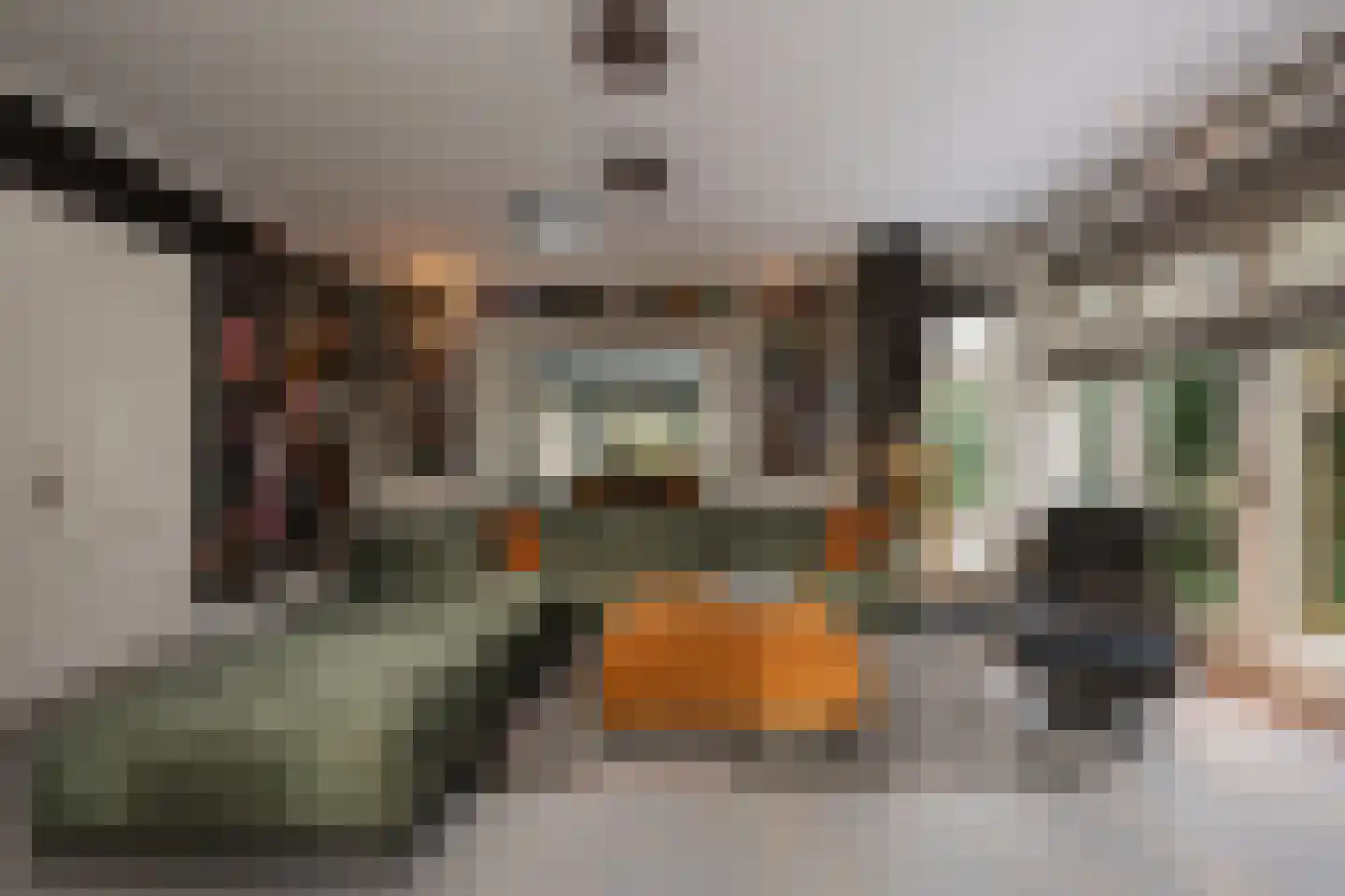 Gravin Jacobalaan 23 Den Haag thumbnail 17