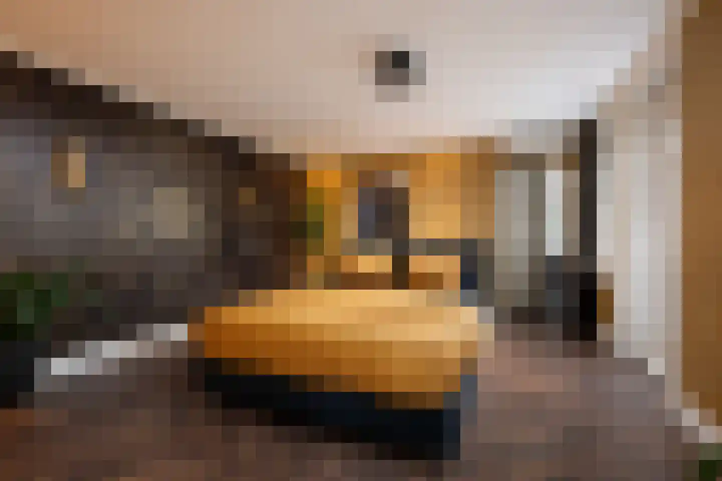 Gravin Jacobalaan 23 Den Haag thumbnail 19