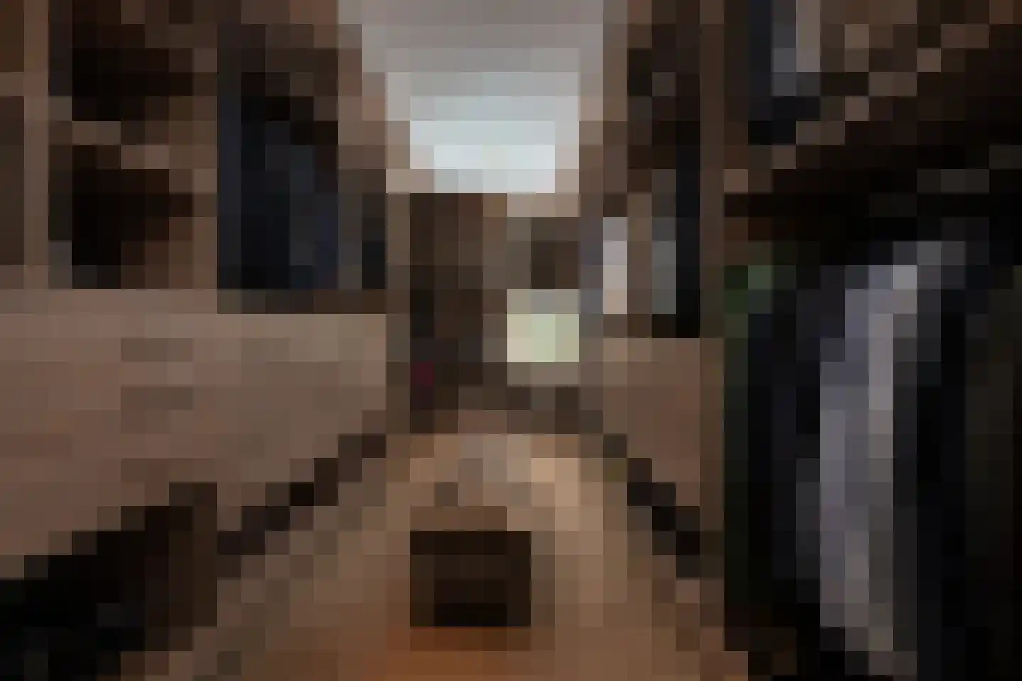 Gravin Jacobalaan 23 Den Haag thumbnail 20