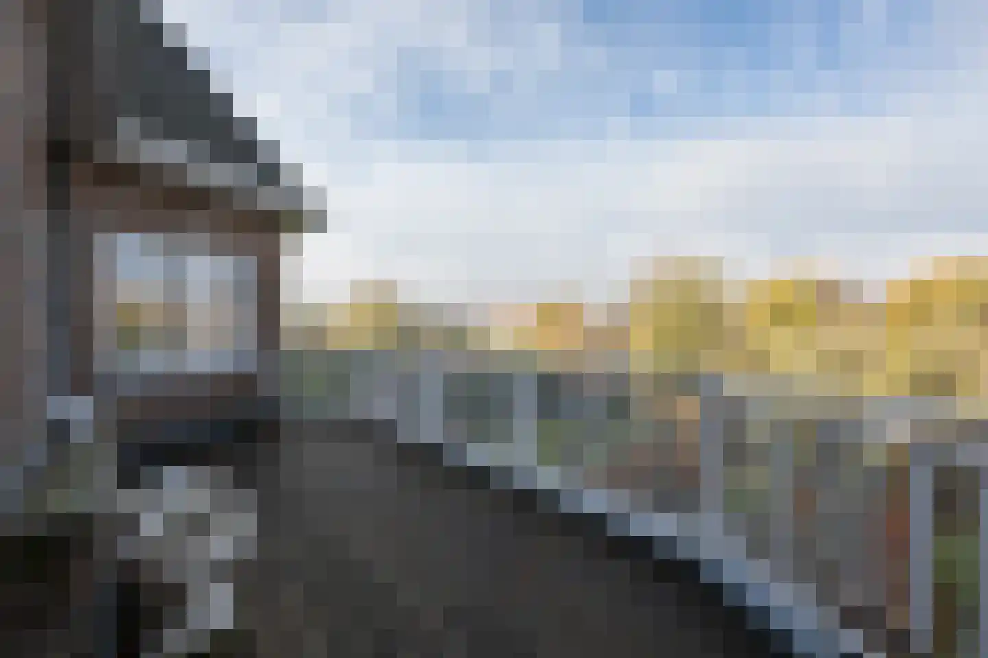 Gravin Jacobalaan 23 Den Haag thumbnail 23