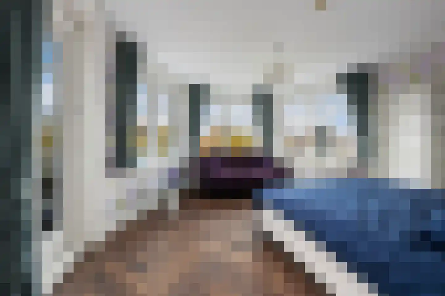 Gravin Jacobalaan 23 Den Haag thumbnail 24