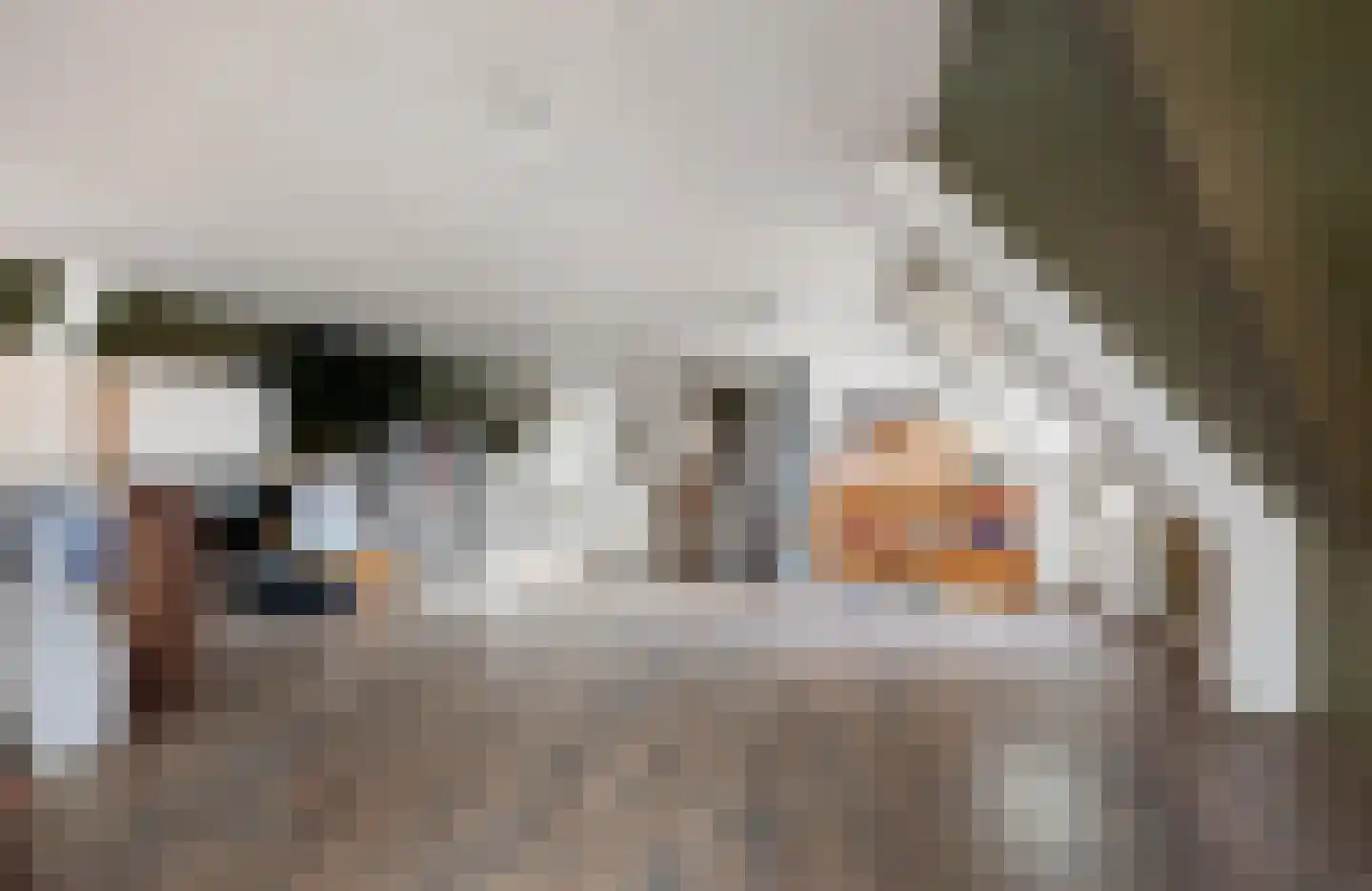 Gravin Jacobalaan 23 Den Haag thumbnail 32