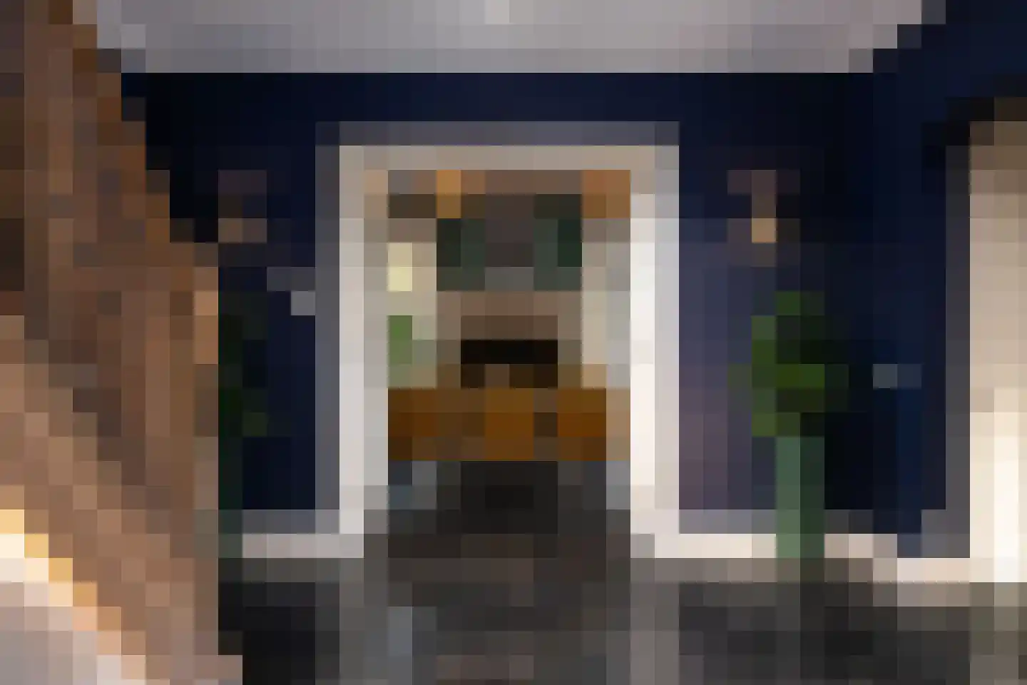 Gravin Jacobalaan 23 Den Haag thumbnail 6