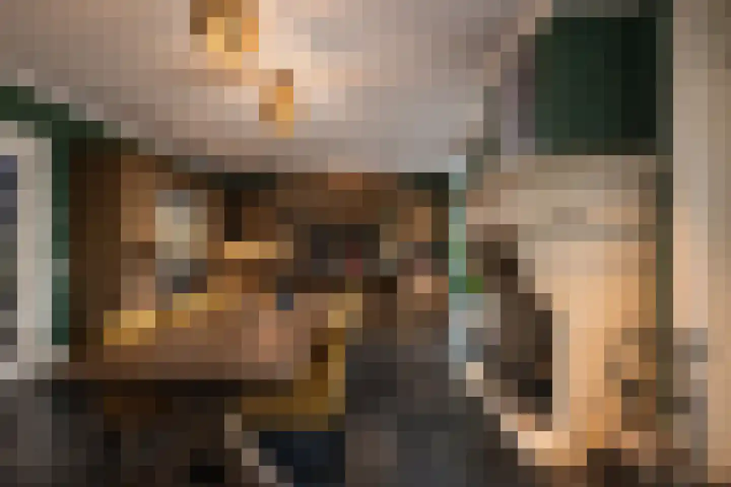 Gravin Jacobalaan 23 Den Haag thumbnail 7