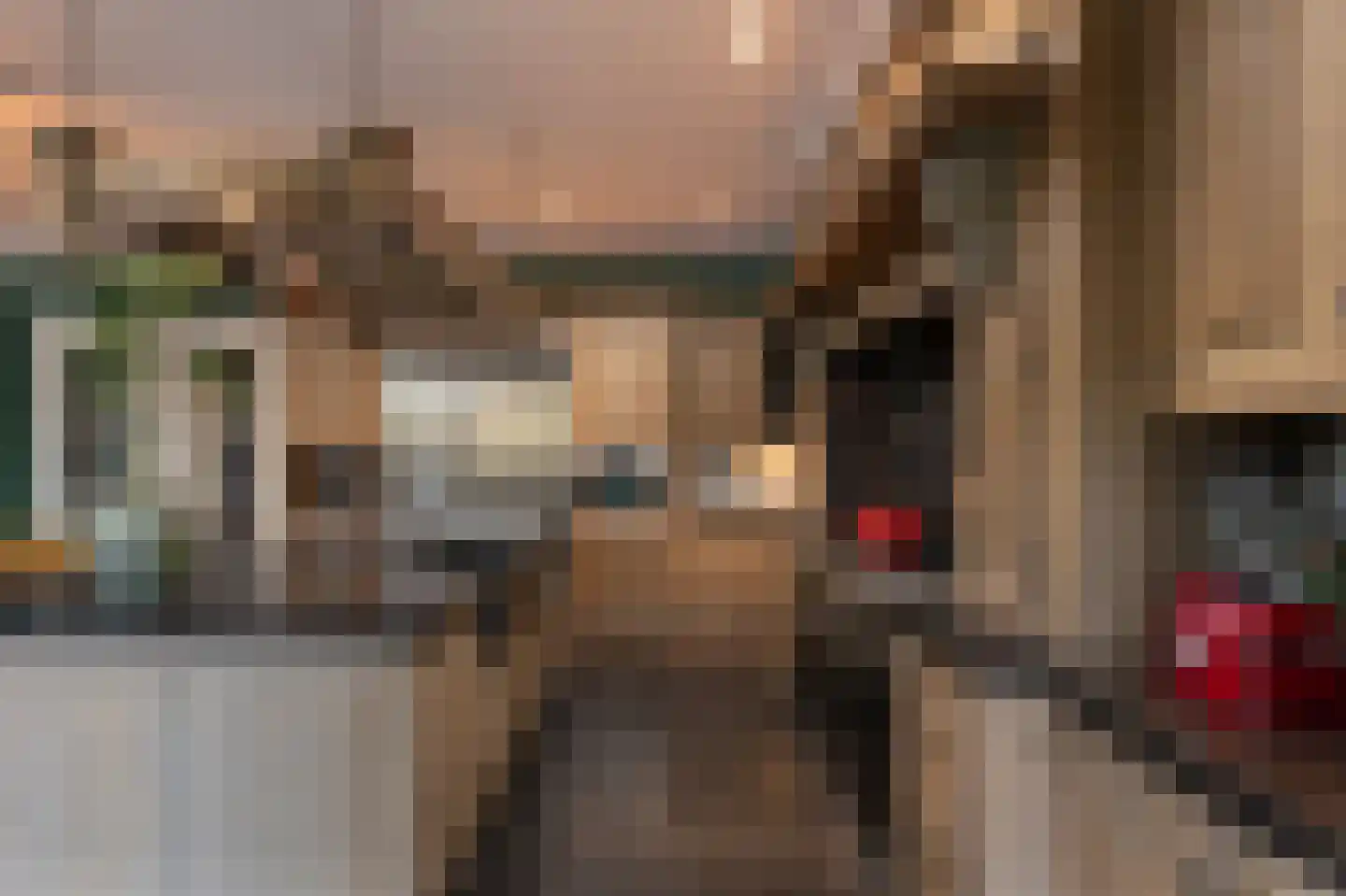 Gravin Jacobalaan 23 Den Haag thumbnail 8