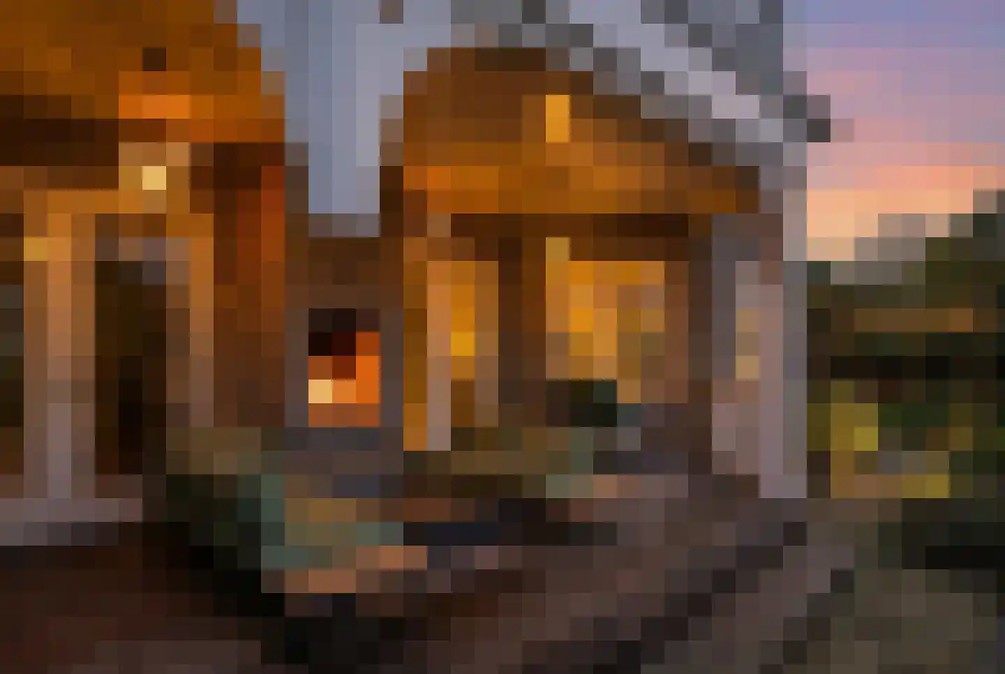Gravin Jacobalaan 23 Den Haag thumbnail 9