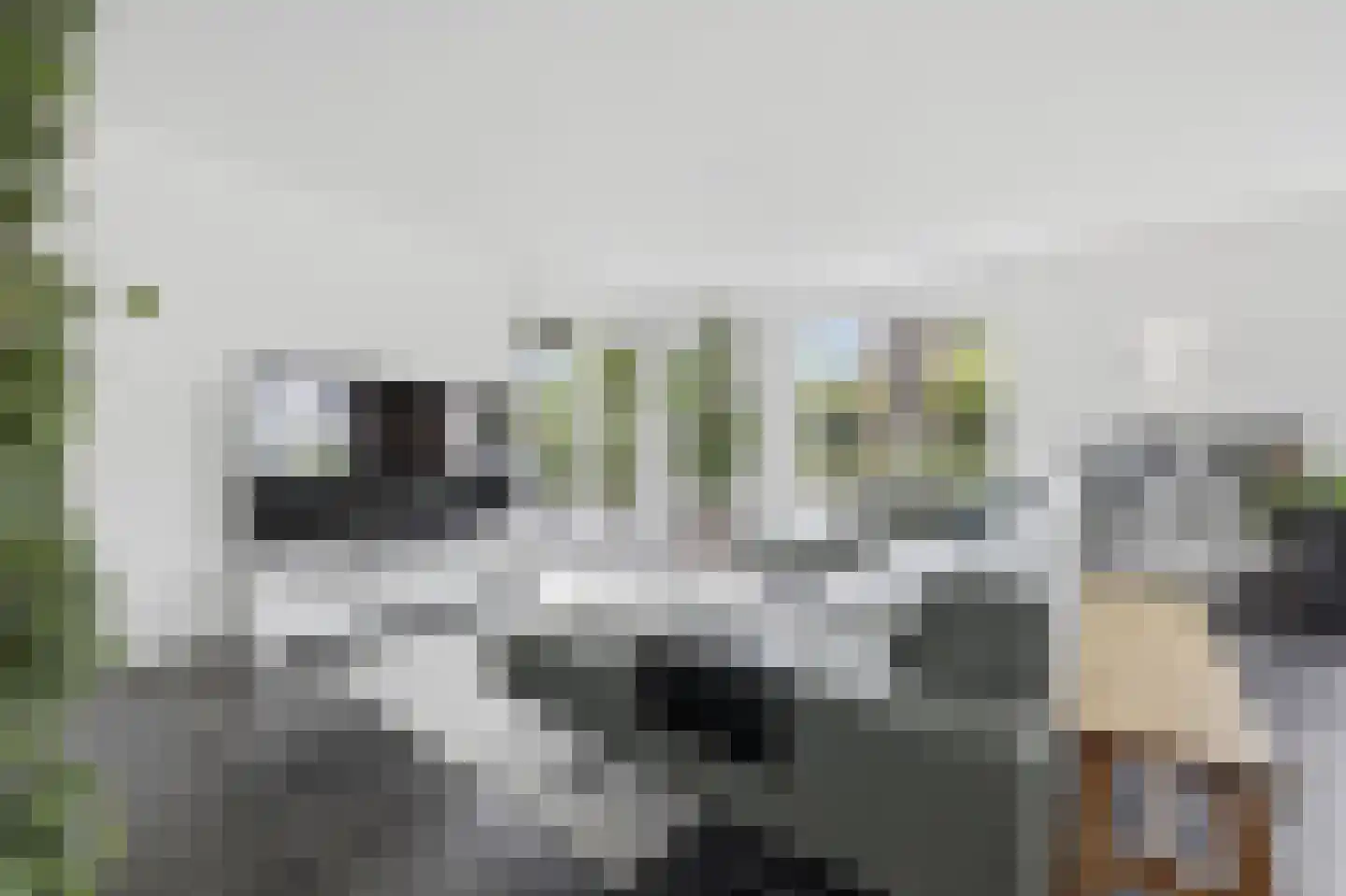 Gravin Jacobalaan 35 Den Haag thumbnail 11