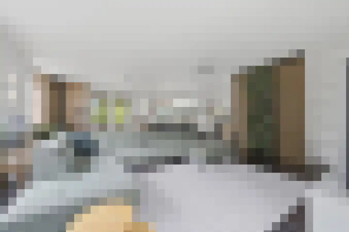 Gravin Jacobalaan 35 Den Haag thumbnail 12