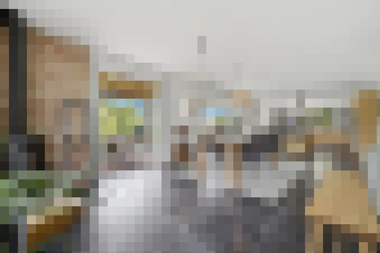 Gravin Jacobalaan 35 Den Haag thumbnail 15