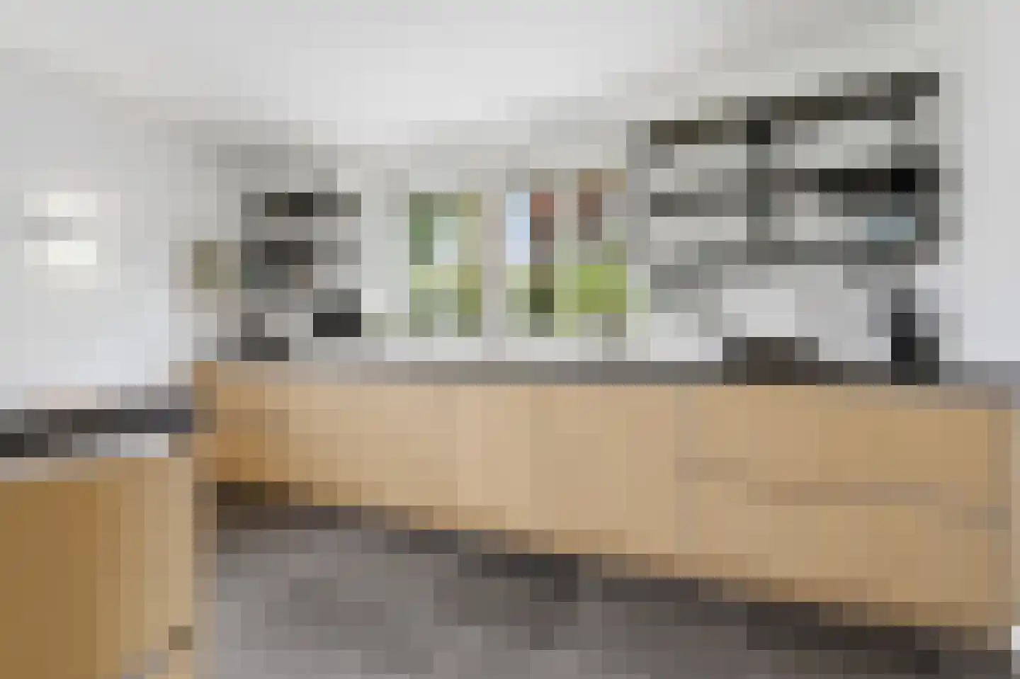 Gravin Jacobalaan 35 Den Haag thumbnail 21