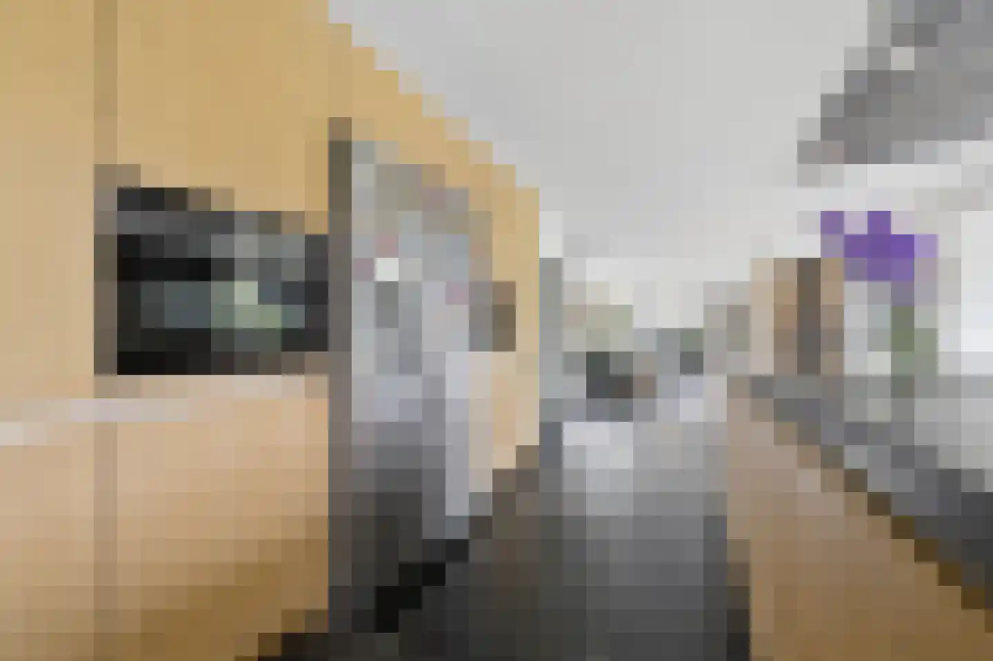 Gravin Jacobalaan 35 Den Haag thumbnail 22