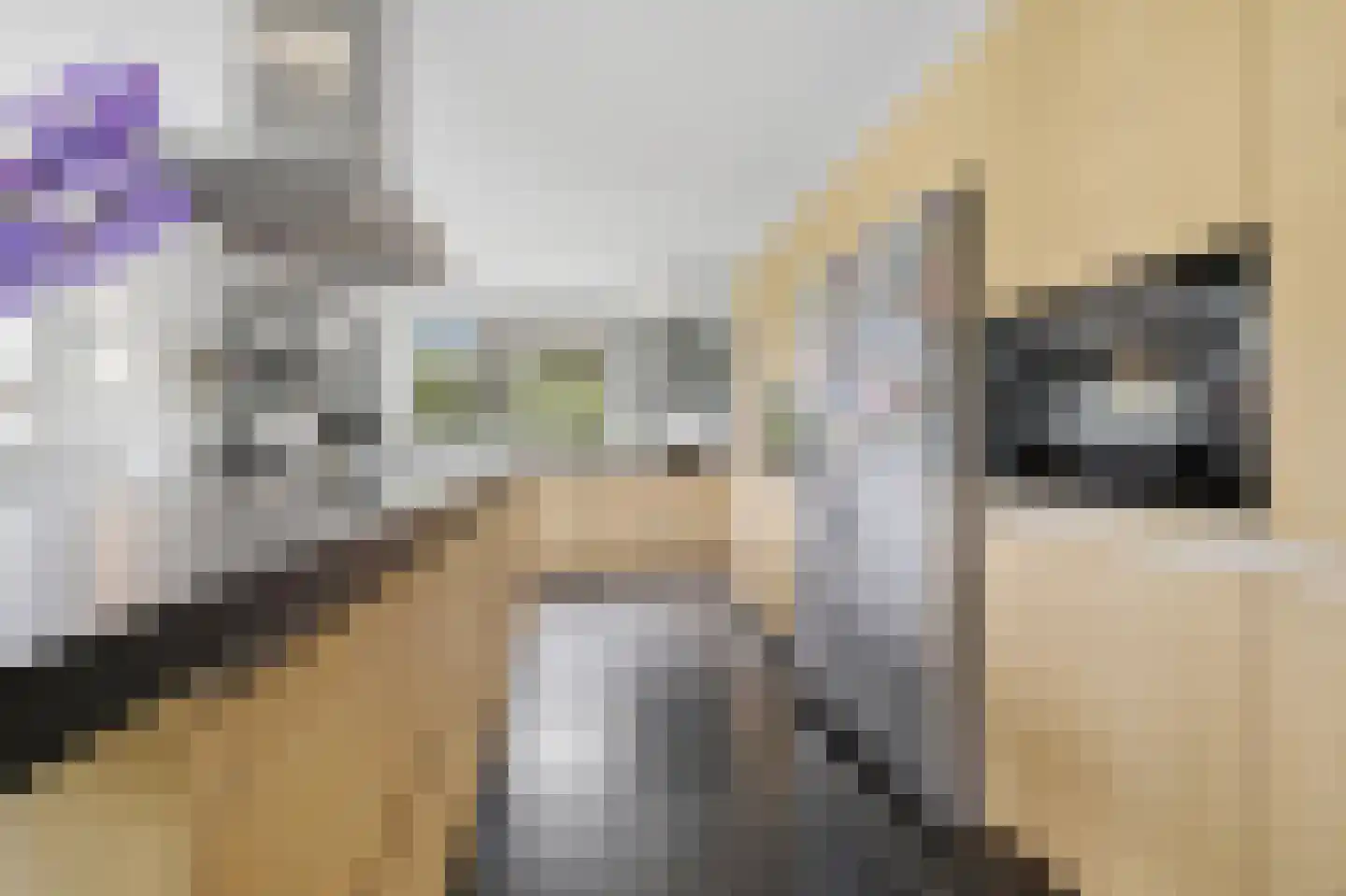 Gravin Jacobalaan 35 Den Haag thumbnail 23