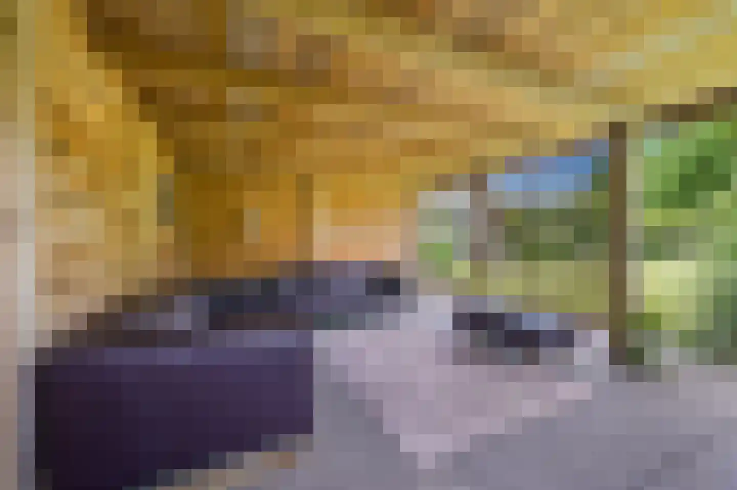 Gravin Jacobalaan 35 Den Haag thumbnail 35