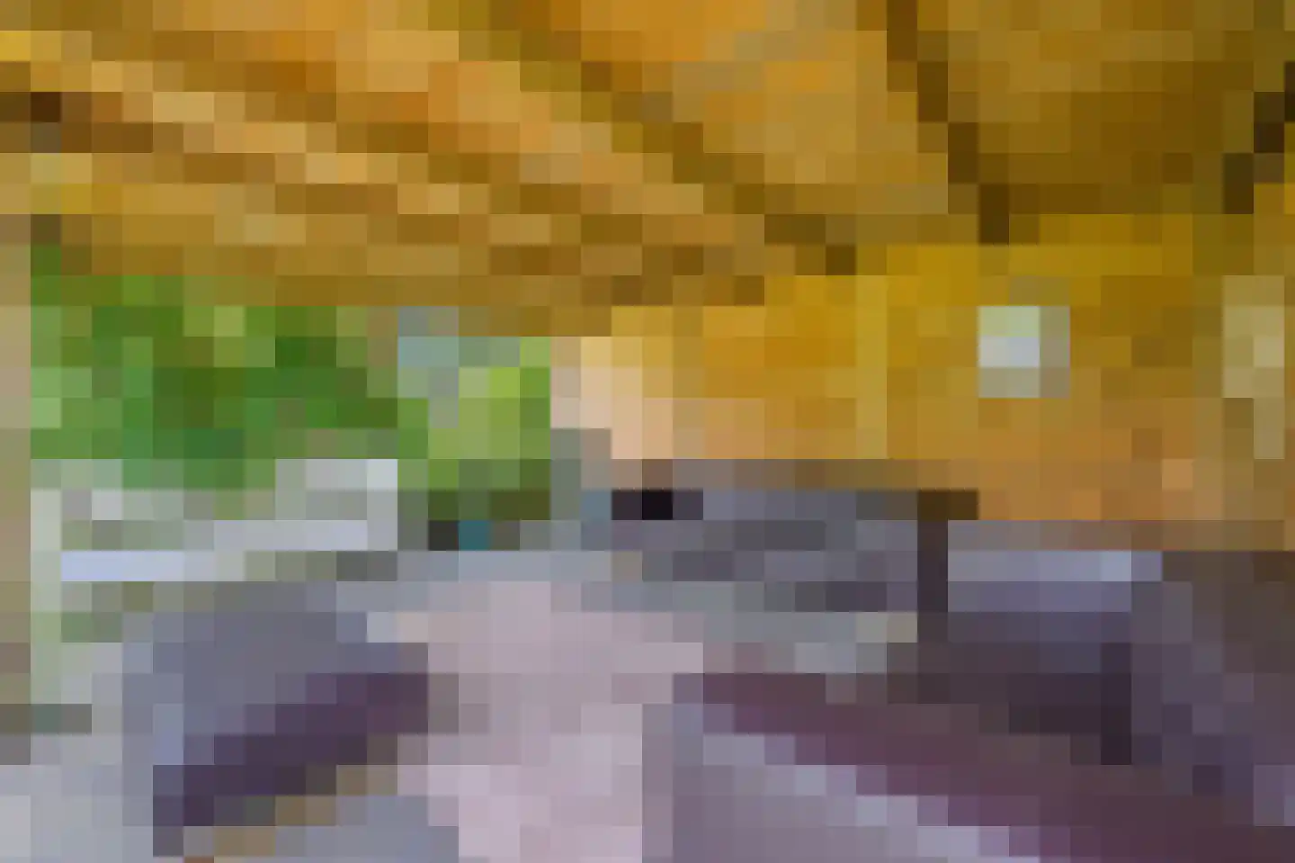 Gravin Jacobalaan 35 Den Haag thumbnail 36