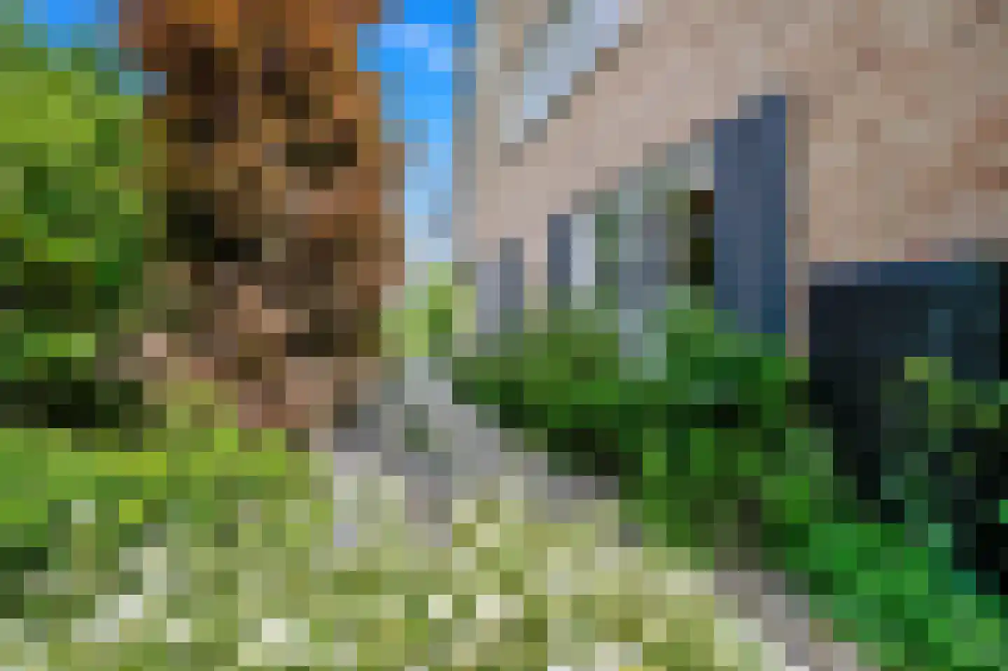 Gravin Jacobalaan 35 Den Haag thumbnail 6