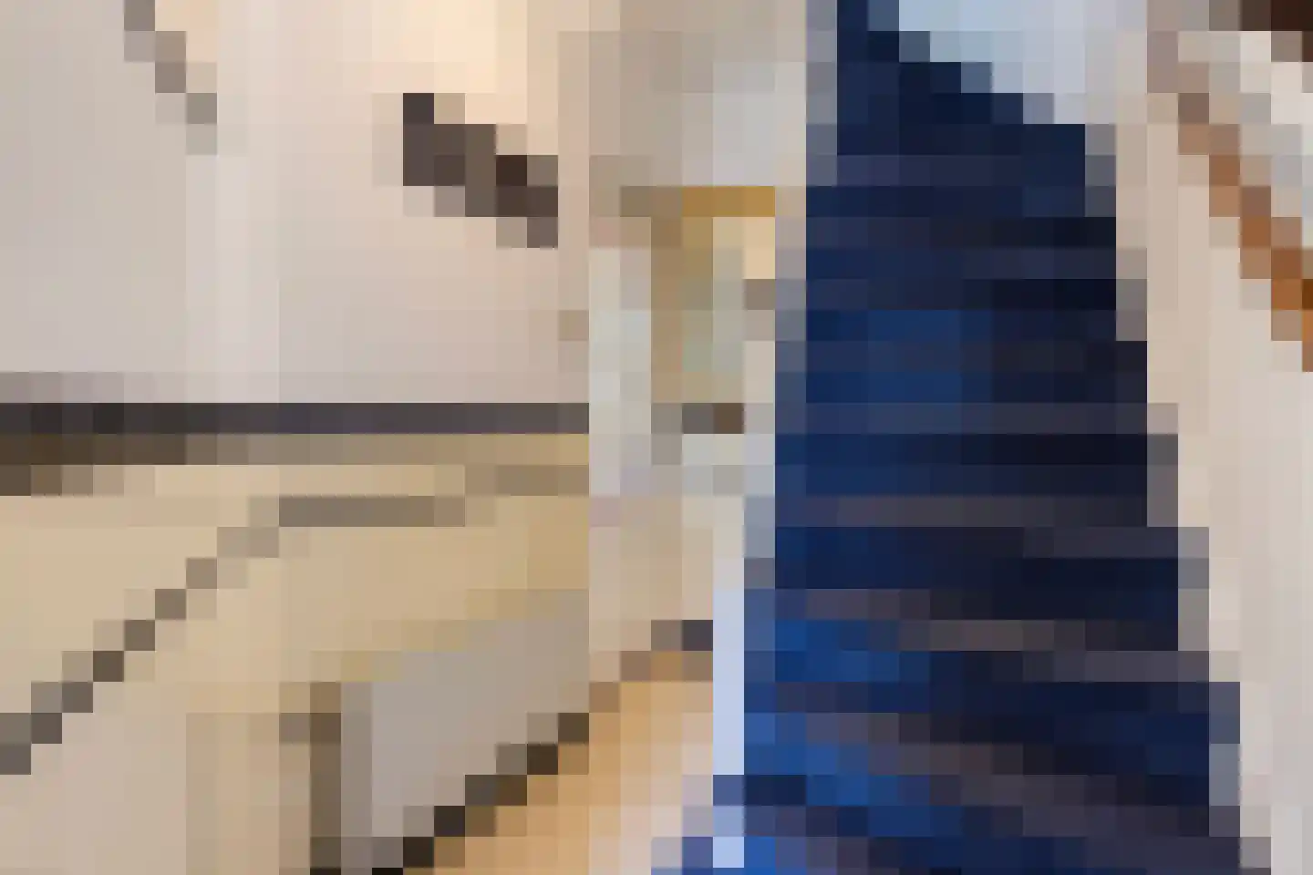 Gravin Jacobastraat 1 Gouda thumbnail 10