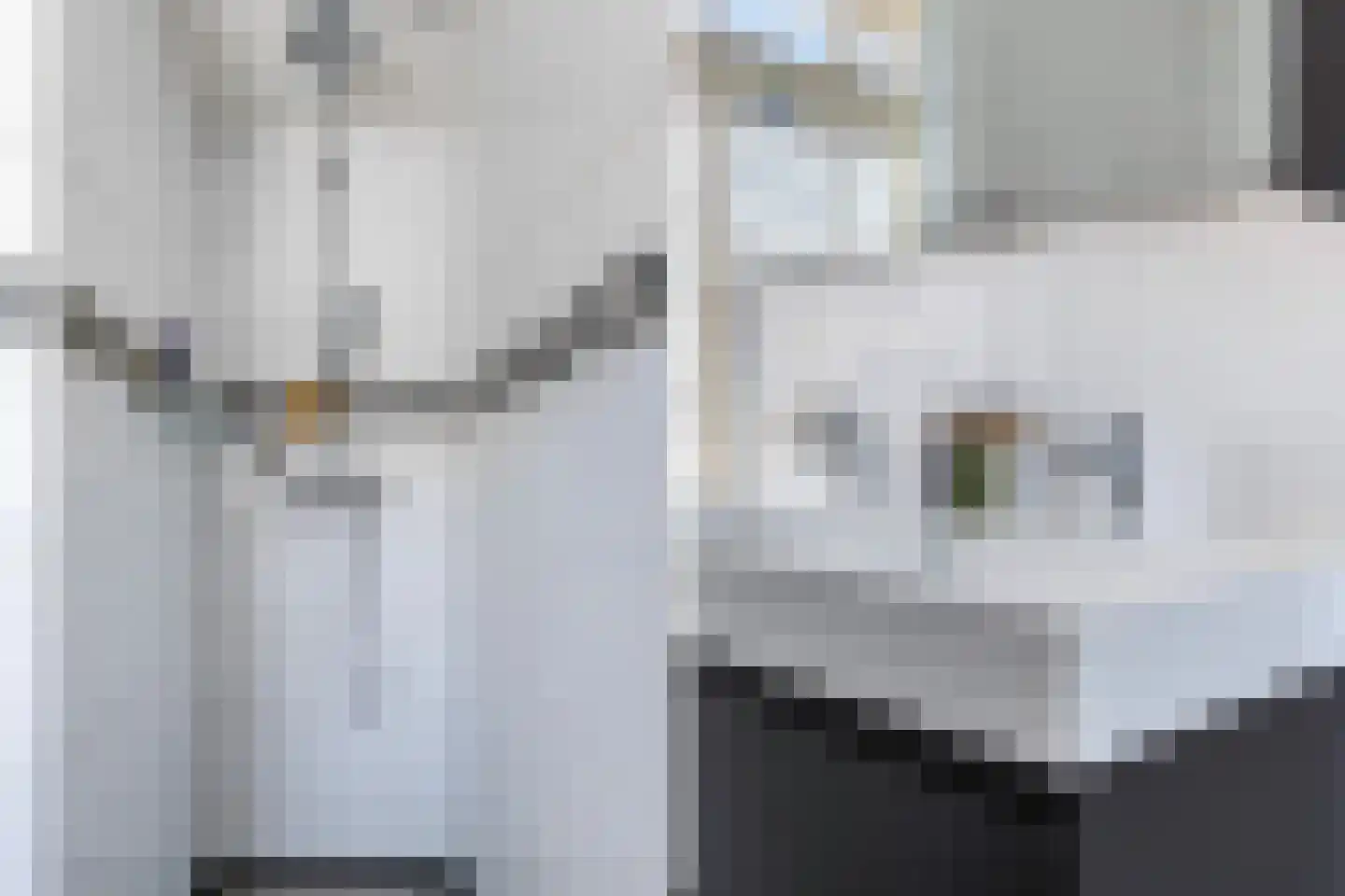 Gravin Jacobastraat 1 Gouda thumbnail 39
