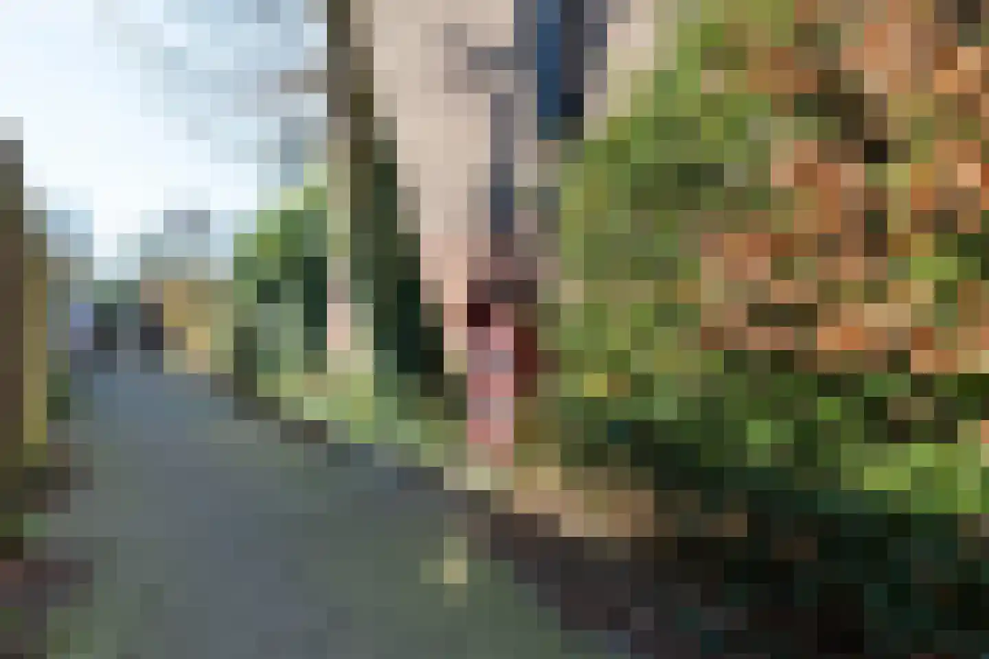 Gravin Jacobastraat 1 Gouda thumbnail 53