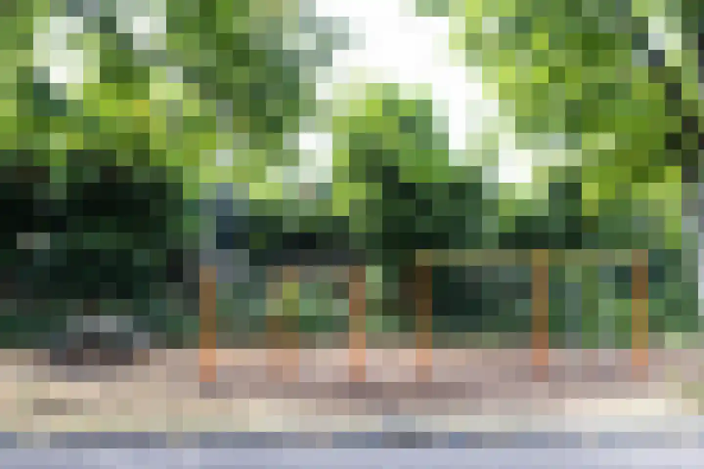 Gravin Jacobastraat 12 Gouda thumbnail 24