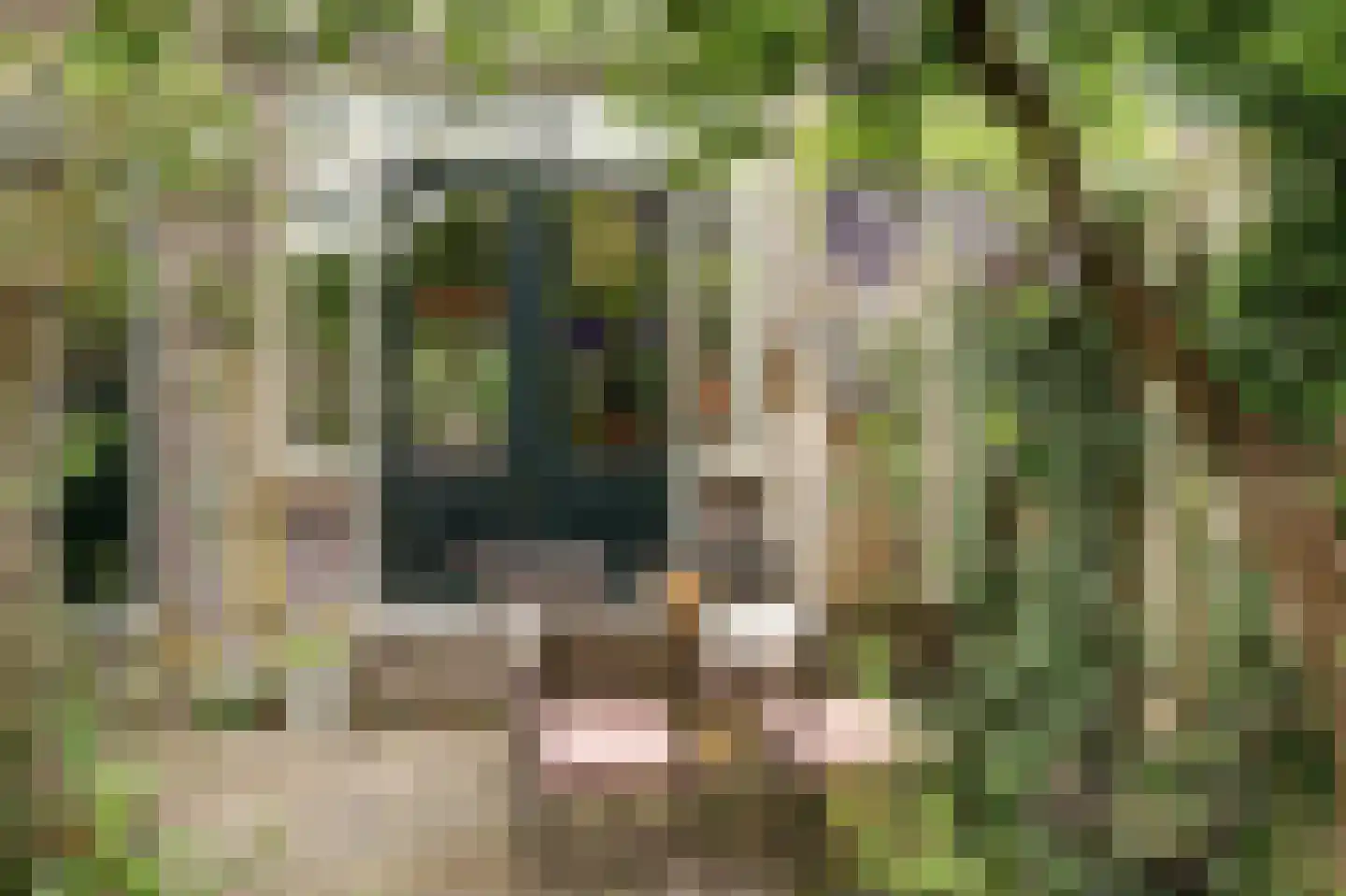 Gravin Jacobastraat 33 Gouda thumbnail 34