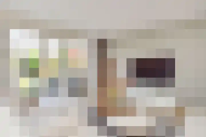 Gravin Johannalaan 19 Den Haag thumbnail 10
