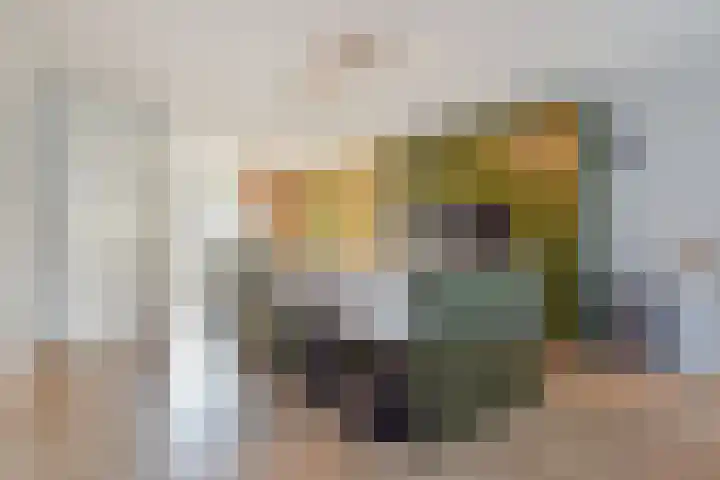 Gravin Johannalaan 19 Den Haag thumbnail 14