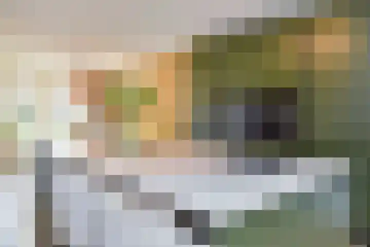 Gravin Johannalaan 19 Den Haag thumbnail 15