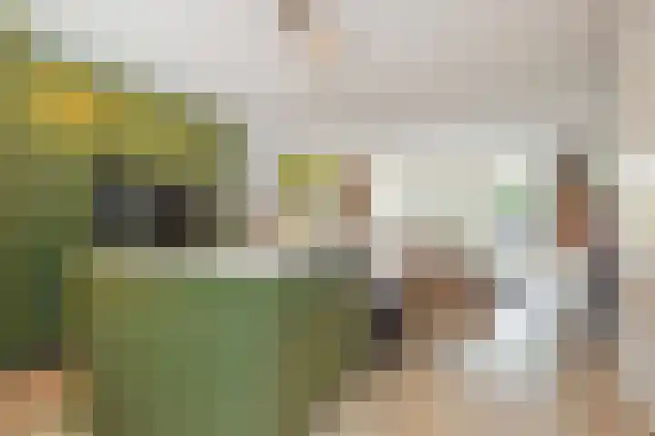 Gravin Johannalaan 19 Den Haag thumbnail 17