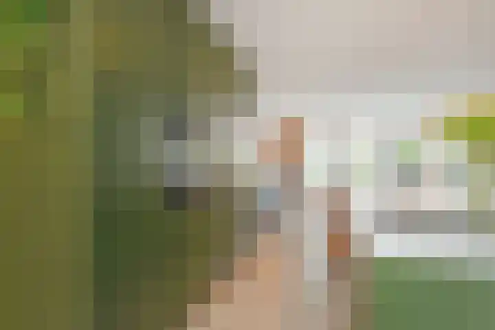 Gravin Johannalaan 19 Den Haag thumbnail 18