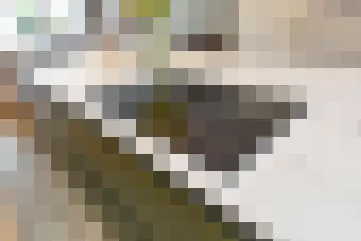 Gravin Johannalaan 19 Den Haag thumbnail 21