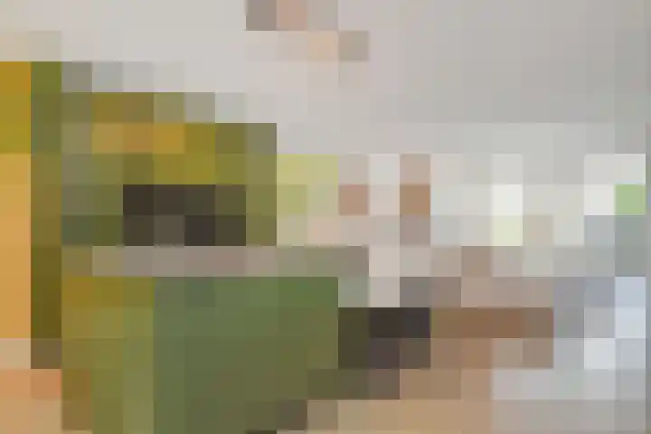 Gravin Johannalaan 19 Den Haag thumbnail 22