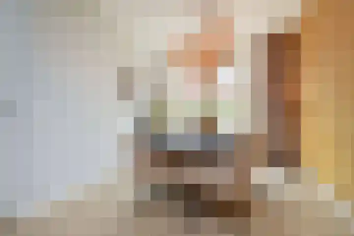 Gravin Johannalaan 19 Den Haag thumbnail 23