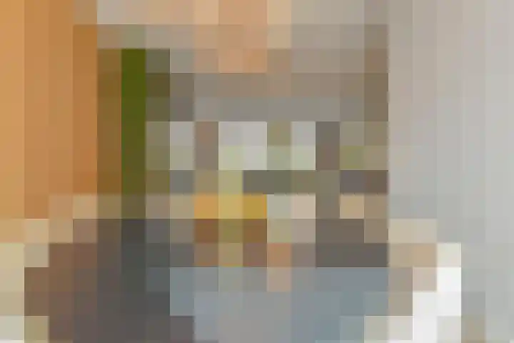 Gravin Johannalaan 19 Den Haag thumbnail 24
