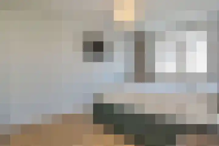 Gravin Johannalaan 19 Den Haag thumbnail 31
