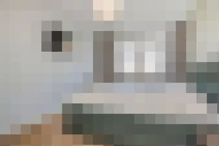 Gravin Johannalaan 19 Den Haag thumbnail 32
