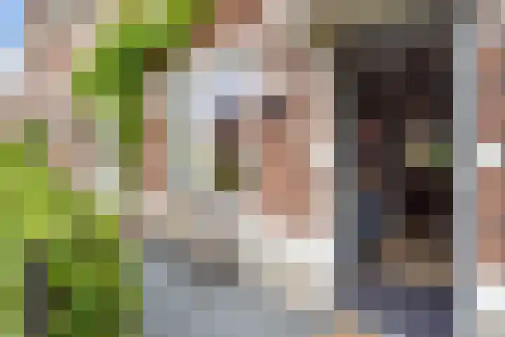 Gravin Johannalaan 19 Den Haag thumbnail 4