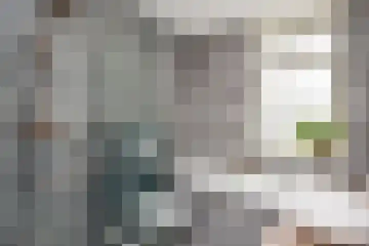Gravin Johannalaan 19 Den Haag thumbnail 40