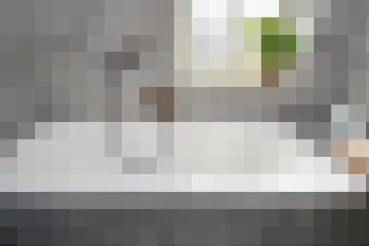Gravin Johannalaan 19 Den Haag thumbnail 43