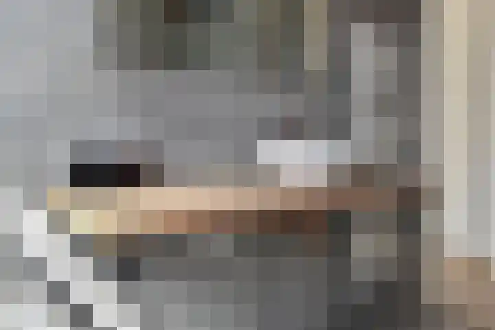 Gravin Johannalaan 19 Den Haag thumbnail 46