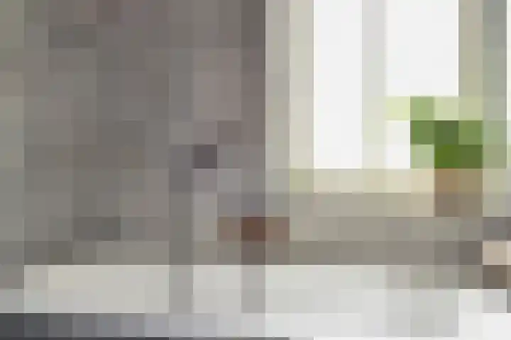 Gravin Johannalaan 19 Den Haag thumbnail 47