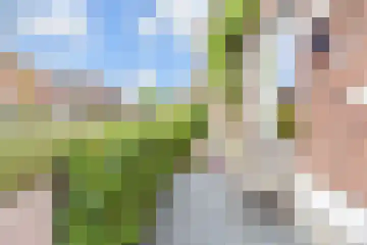 Gravin Johannalaan 19 Den Haag thumbnail 5