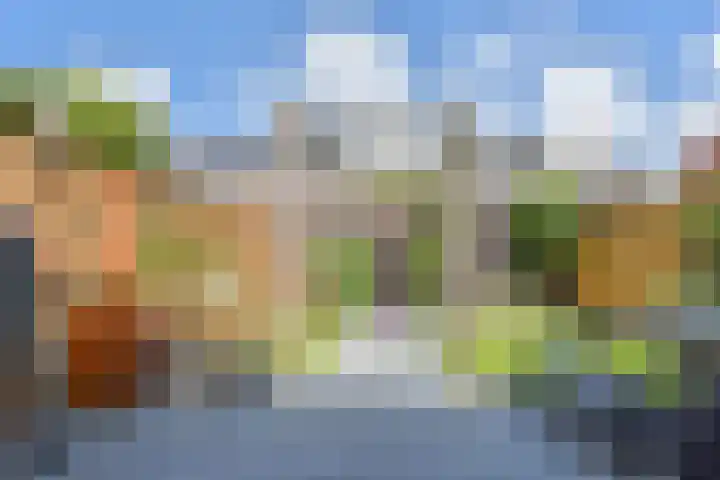 Gravin Johannalaan 19 Den Haag thumbnail 51