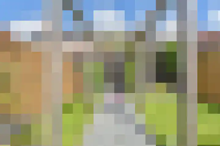 Gravin Johannalaan 19 Den Haag thumbnail 53