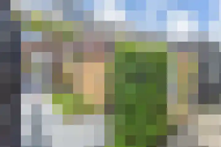 Gravin Johannalaan 19 Den Haag thumbnail 55