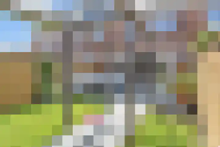 Gravin Johannalaan 19 Den Haag thumbnail 56