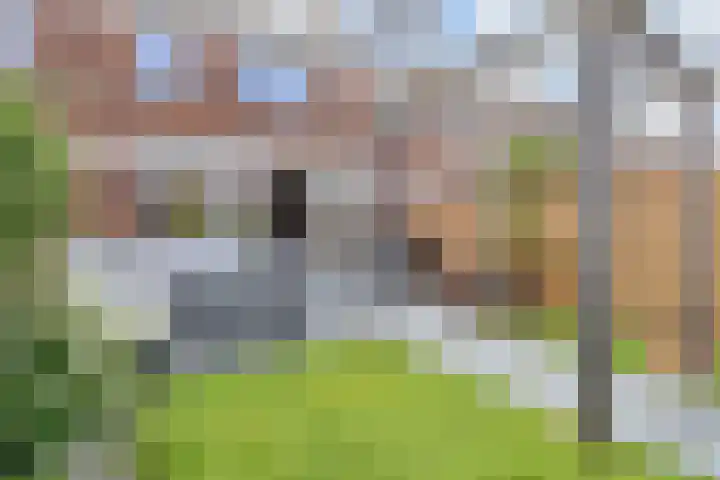 Gravin Johannalaan 19 Den Haag thumbnail 57