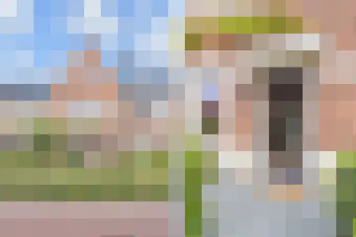 Gravin Johannalaan 19 Den Haag thumbnail 59